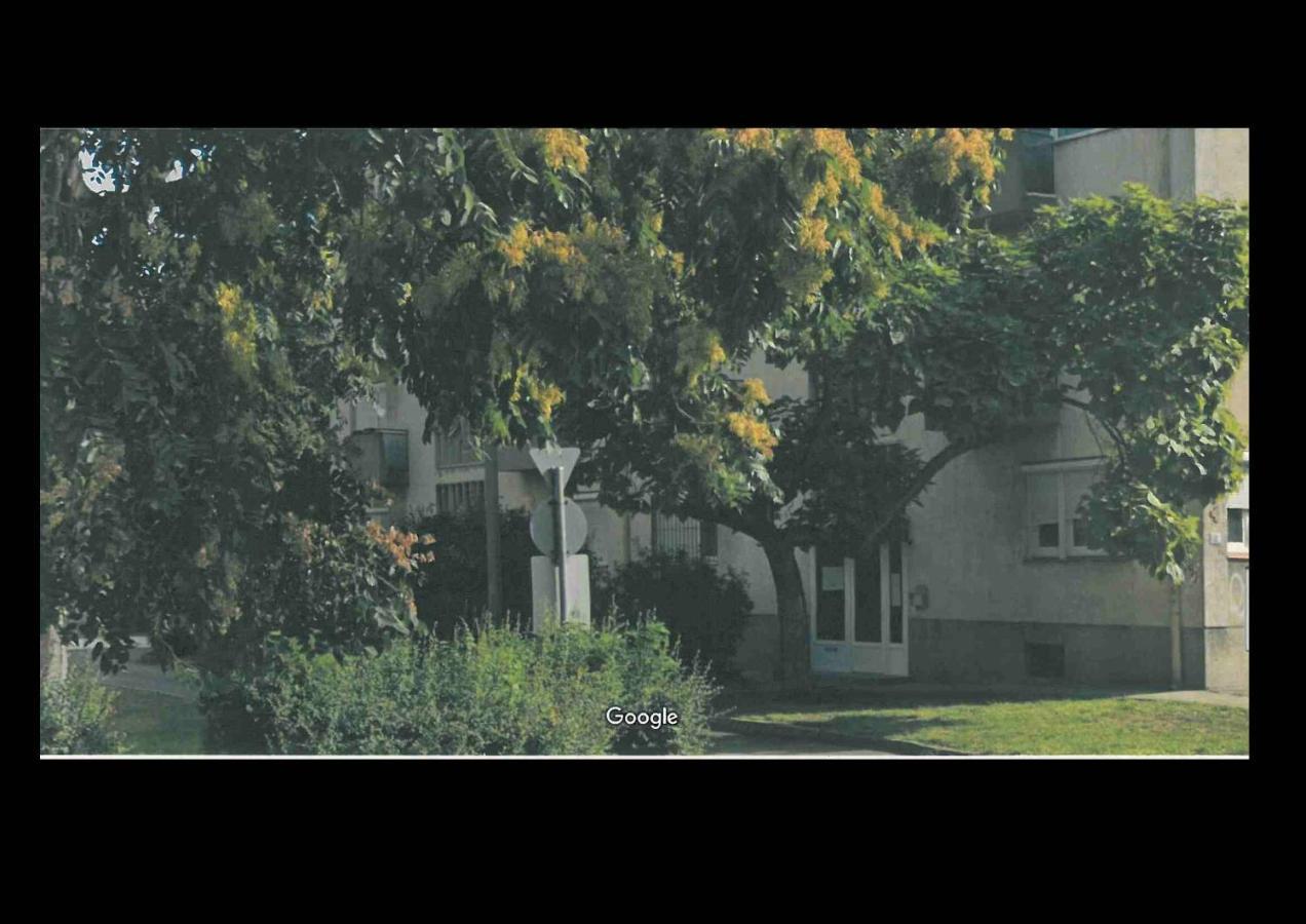Péterpál Appartement Pécs